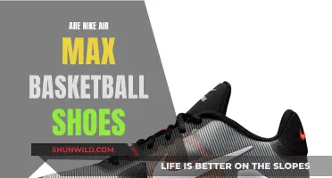 Air Max: Basketball Shoes or Fashion Icon?