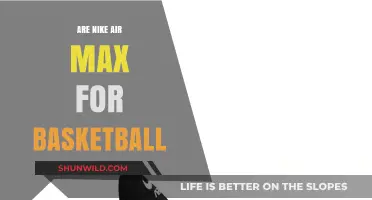 Air Max on the Basketball Court: A Good Choice?
