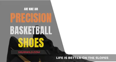 Best Basketball Shoes: Nike Air Precision Review