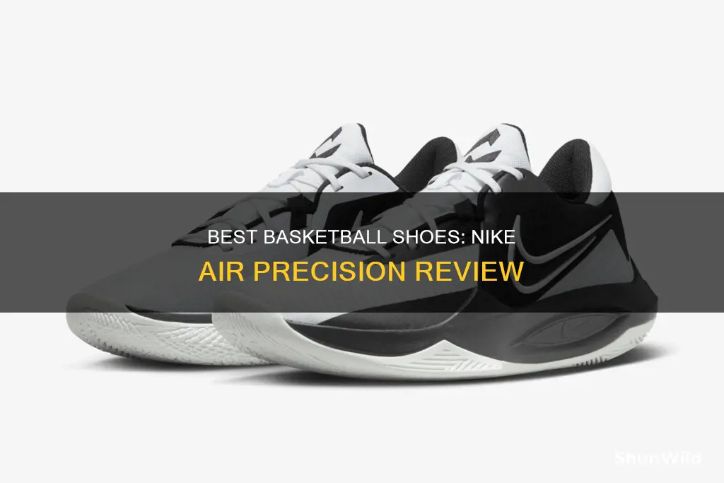 are nike air precision basketball shoes