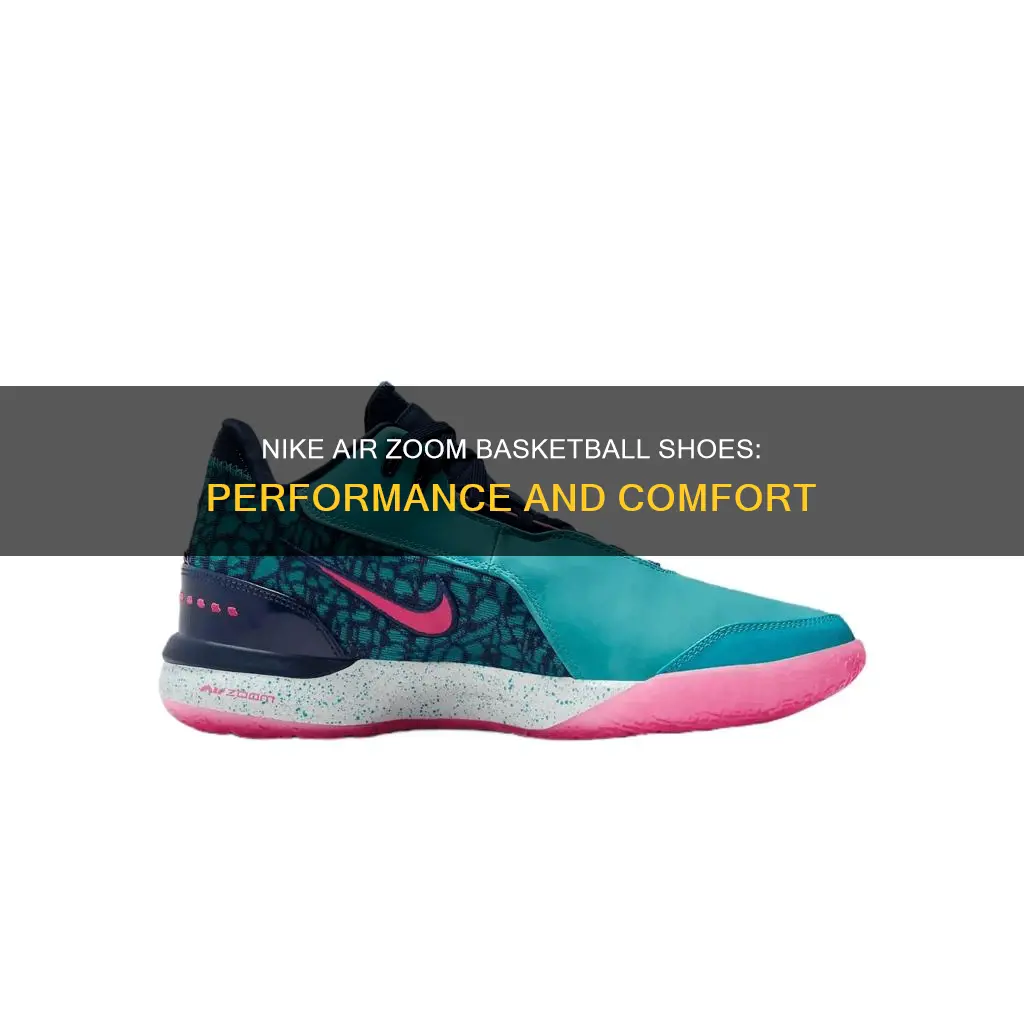 are nike air zoom basketball shoes