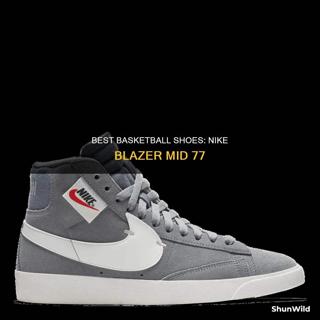 are nike blazer mid 77 basketball shoes