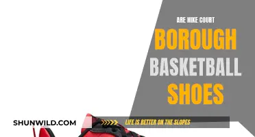 Court Boroughs: Nike's Basketball Shoe Lineup Explored