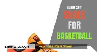 Nike Court Shoes: Perfect for Basketball?