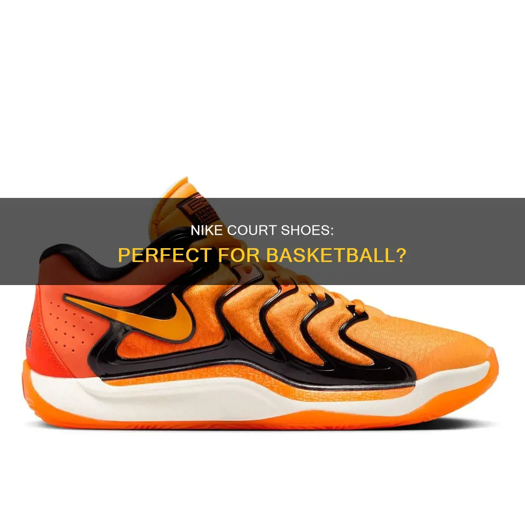 are nike court shoes for basketball