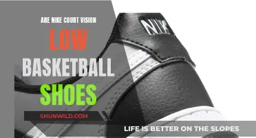 Nike Court Vision Low: Elevate Your Basketball Game