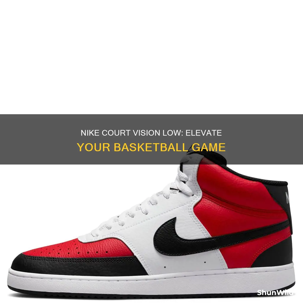 are nike court vision low basketball shoes