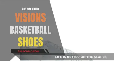 Nike Court Visions: The Ultimate Basketball Shoes?