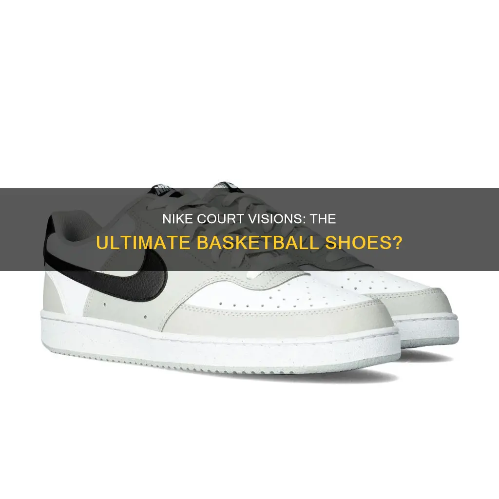 are nike court visions basketball shoes