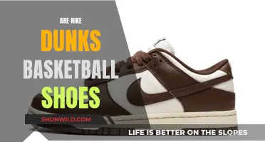 The Evolution of Nike Dunks: From Basketball to Streetwear