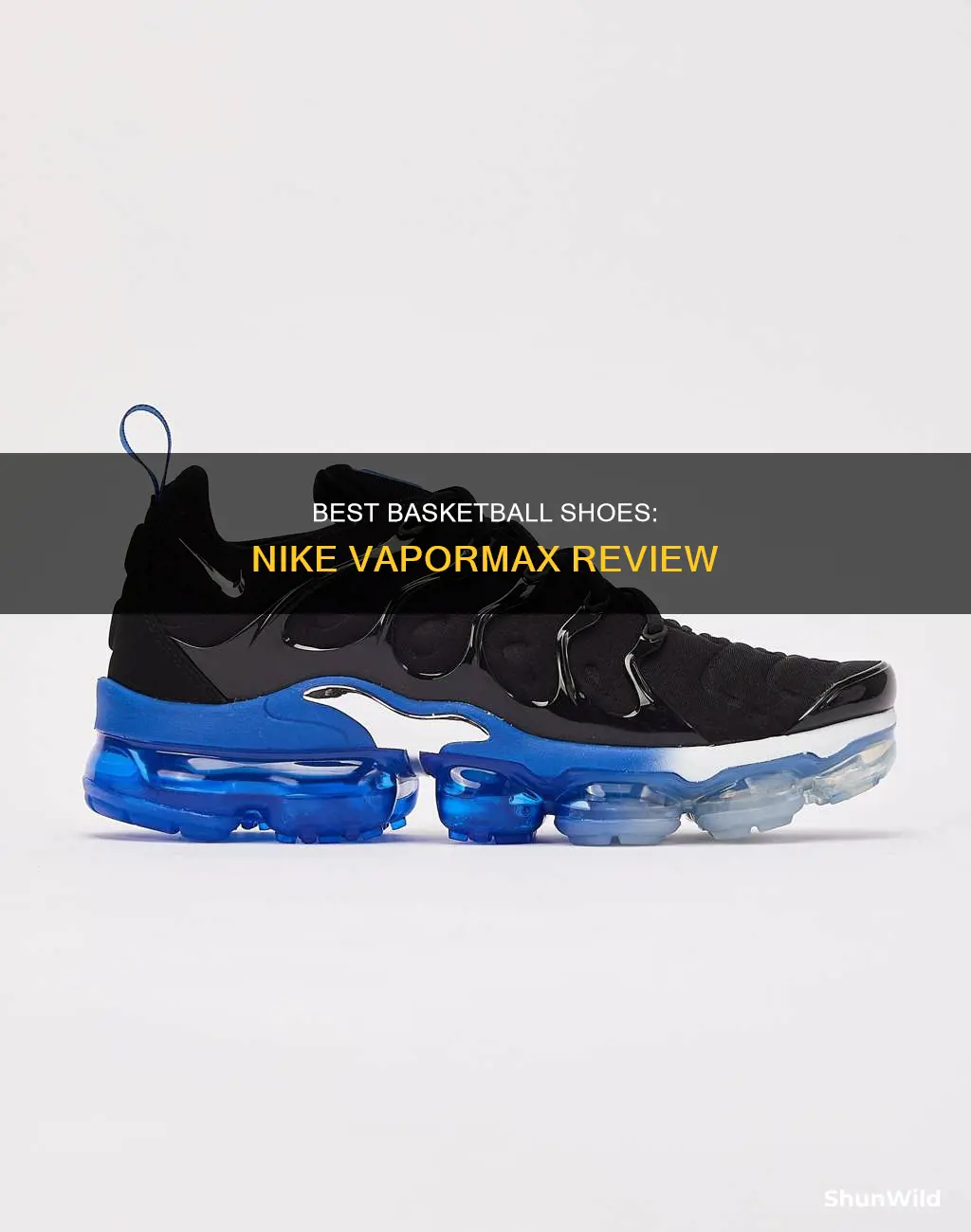 are nike vapormax basketball shoes