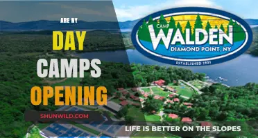 Are NY Day Camps Opening This Summer? What Parents Need to Know