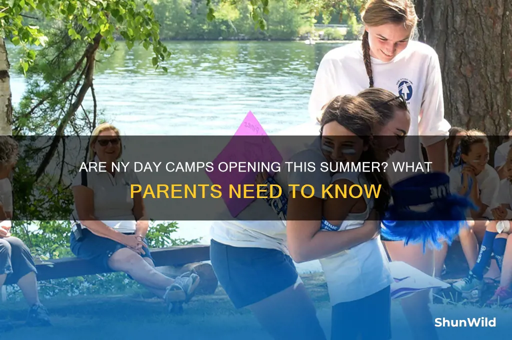 are ny day camps opening