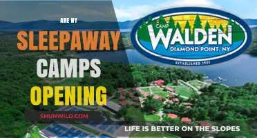 Will NY Sleepaway Camps Open This Summer? Latest Updates