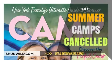 Are NY Summer Camps Cancelled? Updates and Alternatives for 2023