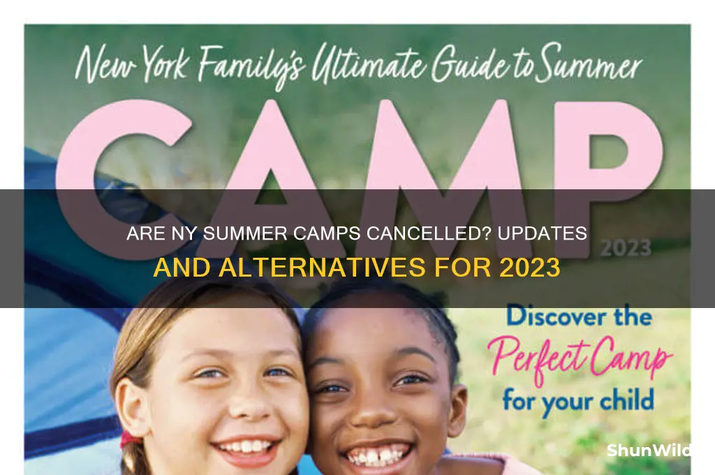 are ny summer camps cancelled