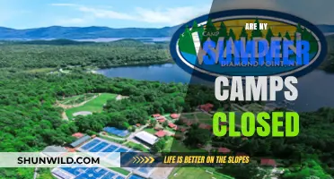 Are NY Summer Camps Closed? Latest Updates for Parents