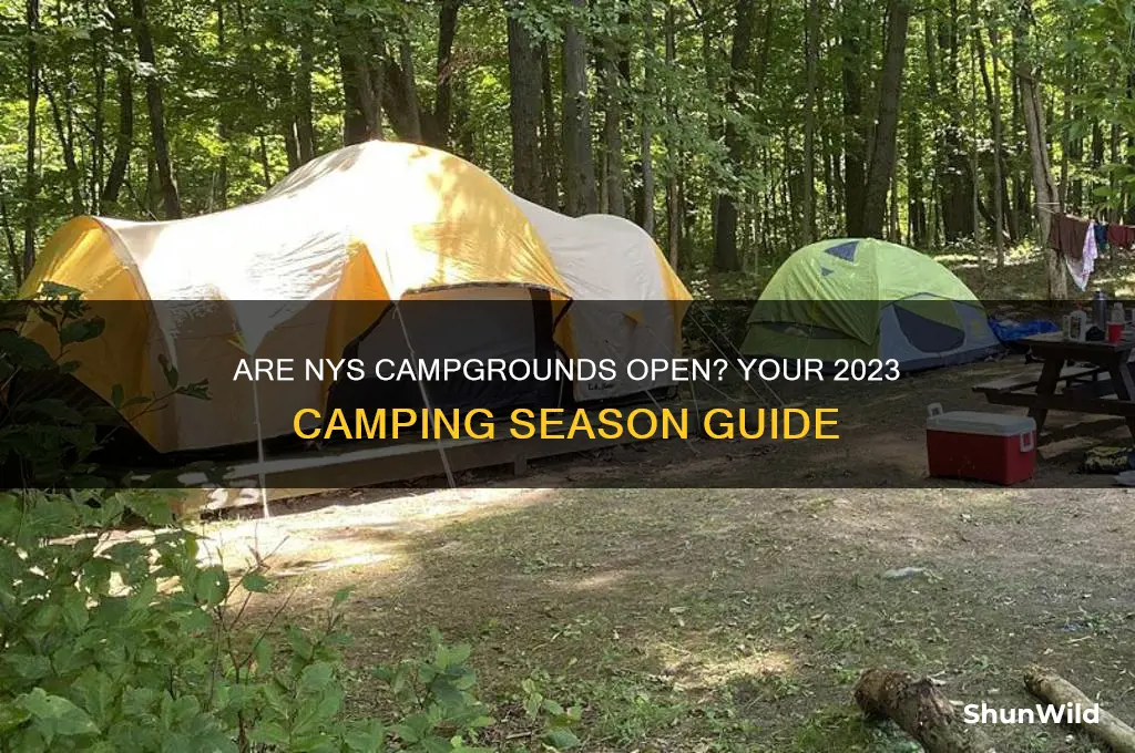 are nys camp grounds open