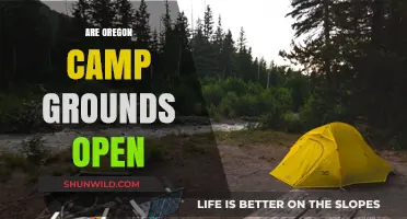 Oregon Campgrounds Open: Current Status and What You Need to Know