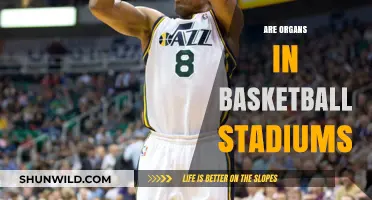 Organs in Basketball Stadiums: Enhancing the Game Experience