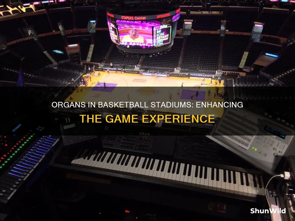 are organs in basketball stadiums