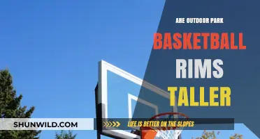 Outdoor Park Basketball Rims: Are They Taller?