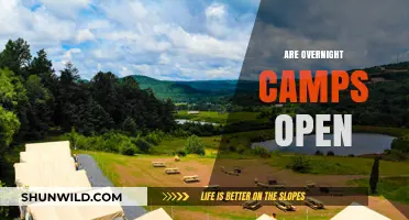 Are Overnight Camps Open This Summer? What Parents Need to Know