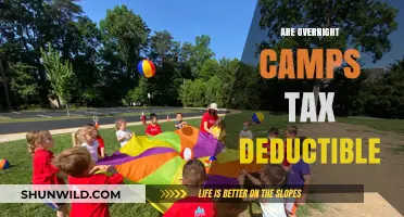 Overnight Camps: Are They Tax Deductible? A Parent's Guide
