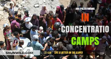 Are Palestinians in Concentration Camps? Examining Gaza's Reality Today
