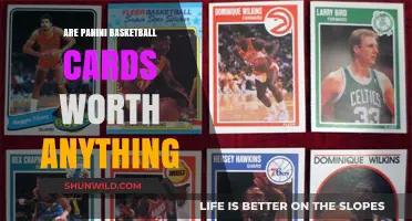 Panini Basketball Cards: Worth Collecting?