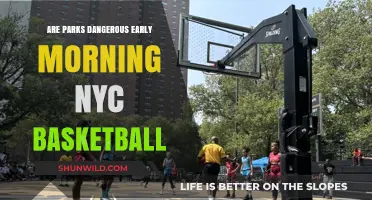 NYC Basketball: Are Parks Safe at Dawn?