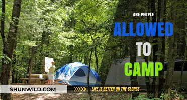 Can You Camp Anywhere? Legalities and Tips for Outdoor Camping