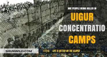 Uyghur Concentration Camps: Uncovering the Truth Behind Alleged Killings