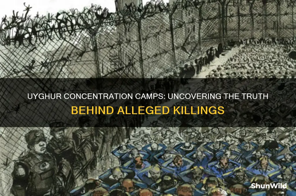 are people being killed in uigur concentration camps