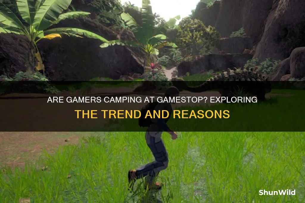 are people camping at gamestop