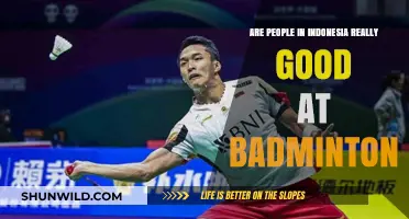 Badminton Prowess: Indonesia's National Pride