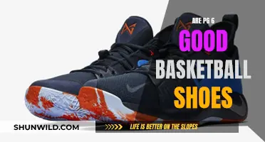 Best Basketball Shoes: Are PG 6 Worth It?