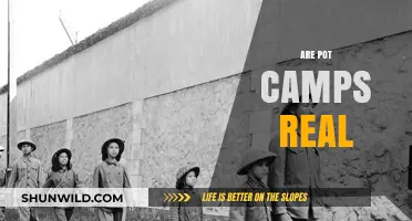 Unveiling the Truth: Are Pot Camps Fact or Fiction?