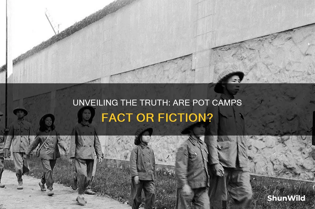 are pot camps real