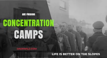 Are Prisons Modern Concentration Camps? A Critical Analysis of Incarceration