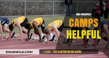 Are Prospect Camps Truly Beneficial for Aspiring Athletes?