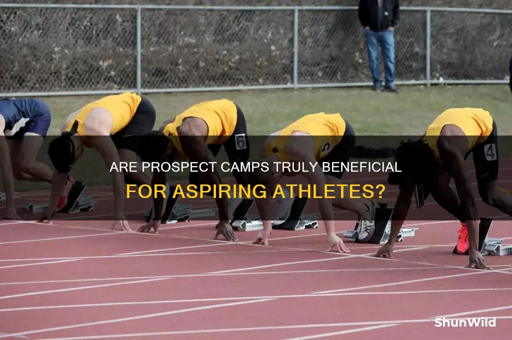 are prospect camps helpful