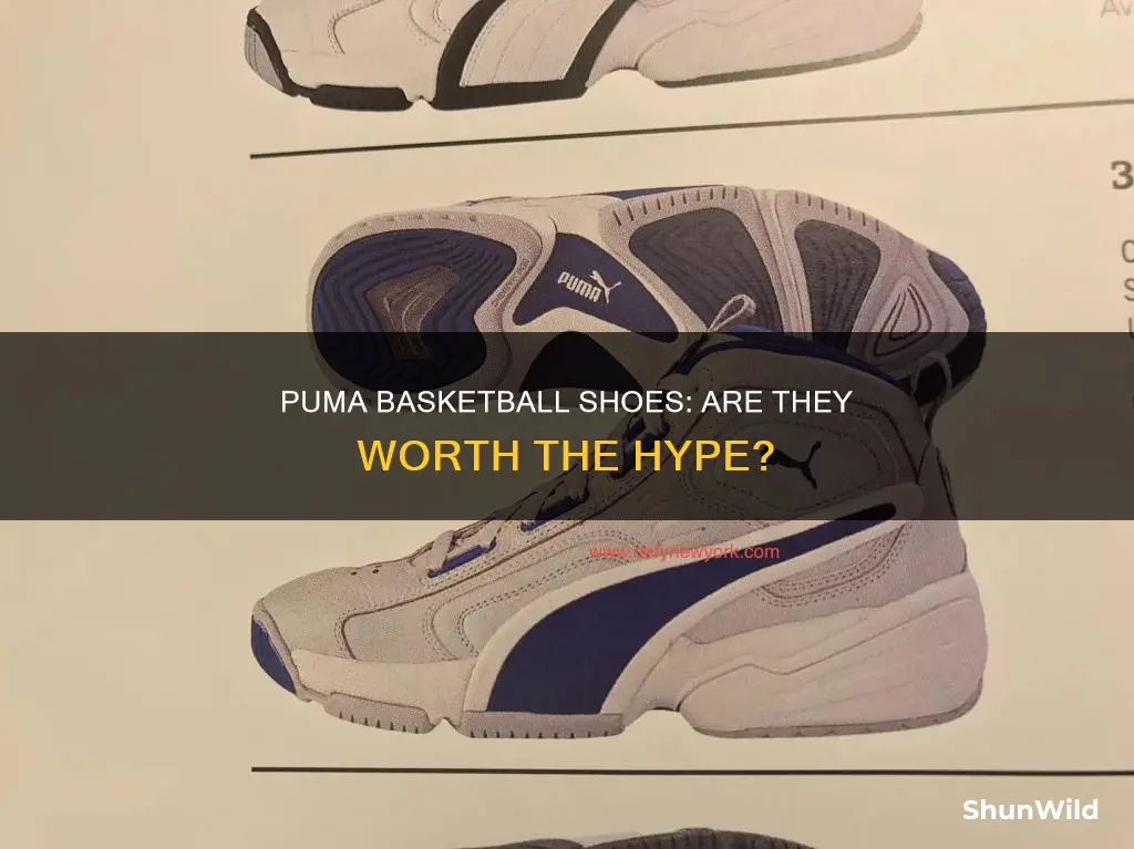 are puma basketball shoes