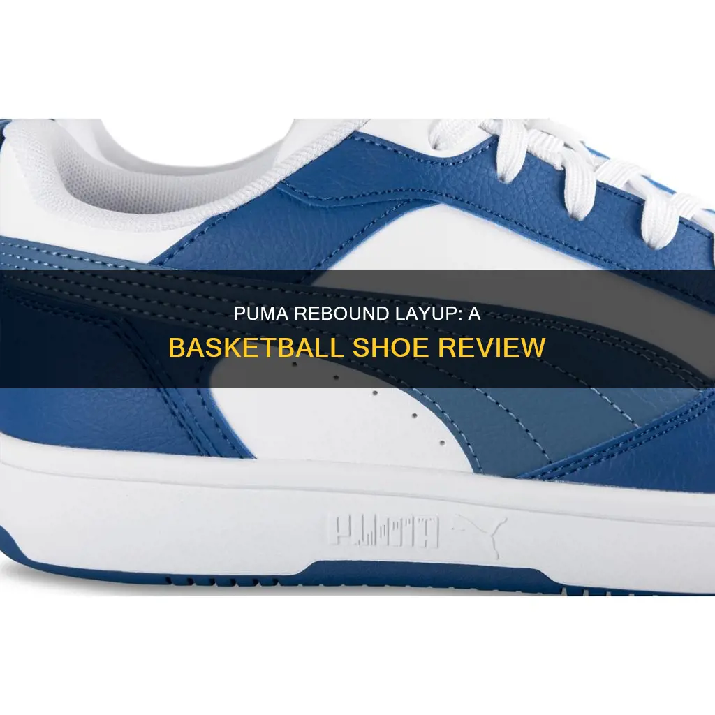 are puma rebound layup basketball shoes
