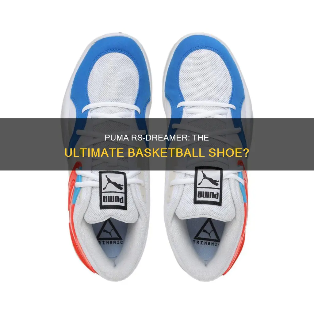 are puma rs dreamer basketball shoes