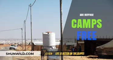 Are Refugee Camps Free? Exploring Costs, Funding, and Realities