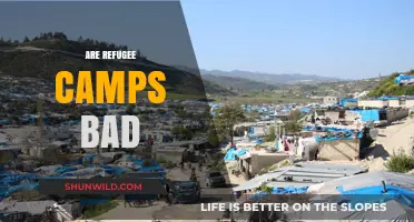 Are Refugee Camps Harmful? Exploring Challenges and Necessities for Displaced Populations
