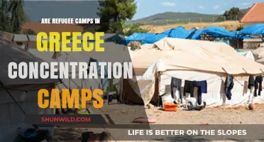 Greece's Refugee Camps: Concentration Camps or Humanitarian Crisis?