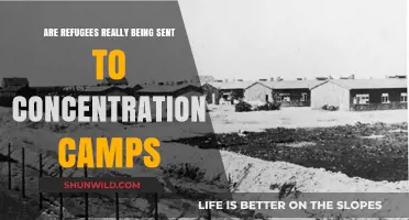 Are Refugees Being Sent to Concentration Camps? Uncovering the Truth