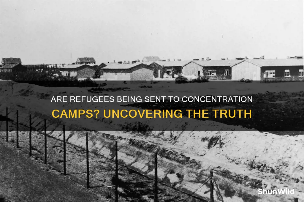 are refugees really being sent to concentration camps